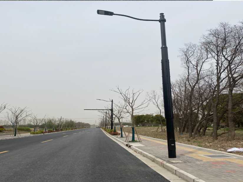 称多县上海综合杆 太阳能路灯工程